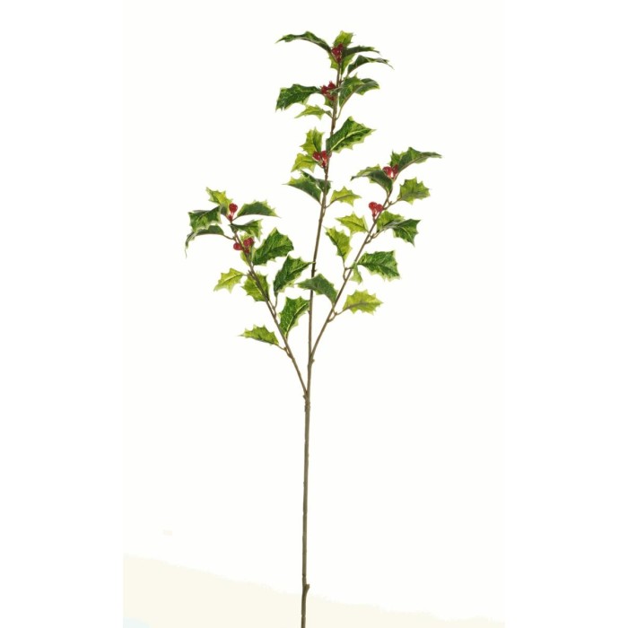 HOLLY SPRAY X3 VARIEGATO CON BERRY H.62